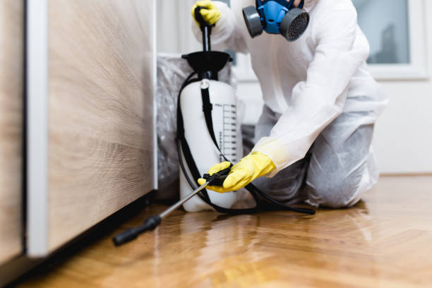 Best Pest Control Near Me  in Oglesby, IL