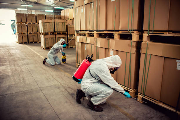 Wildlife Control Services in Oglesby, IL