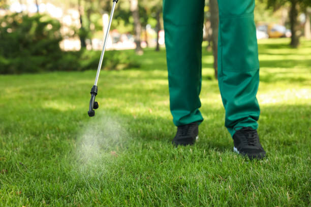 Best Rat Extermination Near Me  in Oglesby, IL