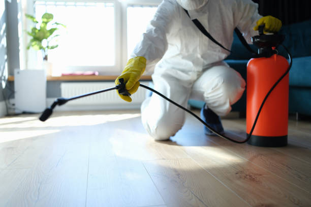 Best Termite Control Services  in Oglesby, IL