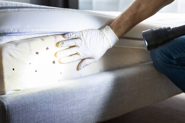 Best Flea Control Services  in Oglesby, IL