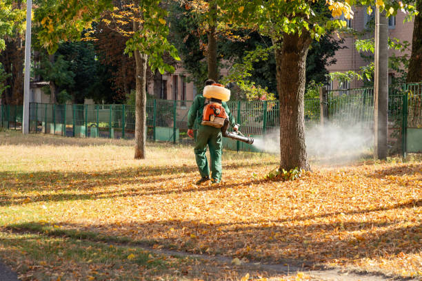 Best Emergency Pest Control  in Oglesby, IL