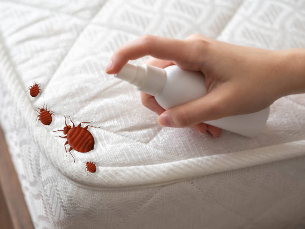 Best Affordable Pest Control Services  in Oglesby, IL