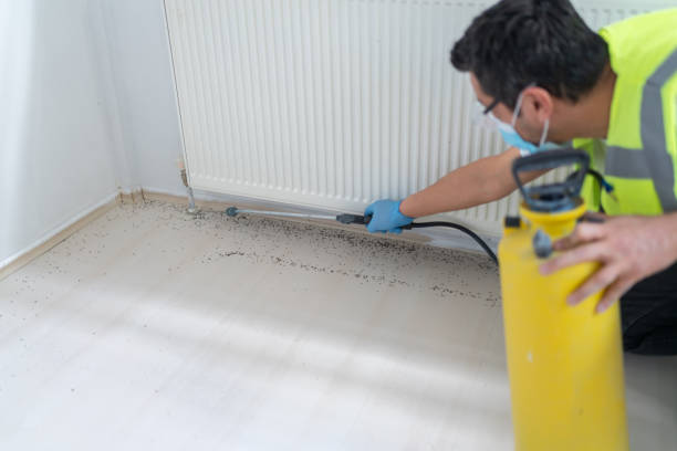 Best Best Pest Control Companies  in Oglesby, IL