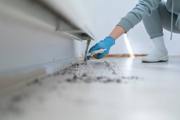 Oglesby, IL Pest Control Company