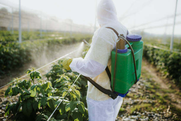 Best Wasp Removal Services  in Oglesby, IL